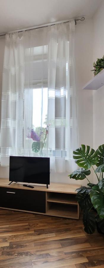 Elena Flat Orchidee Duisburg Zentrum ภายนอก รูปภาพ
